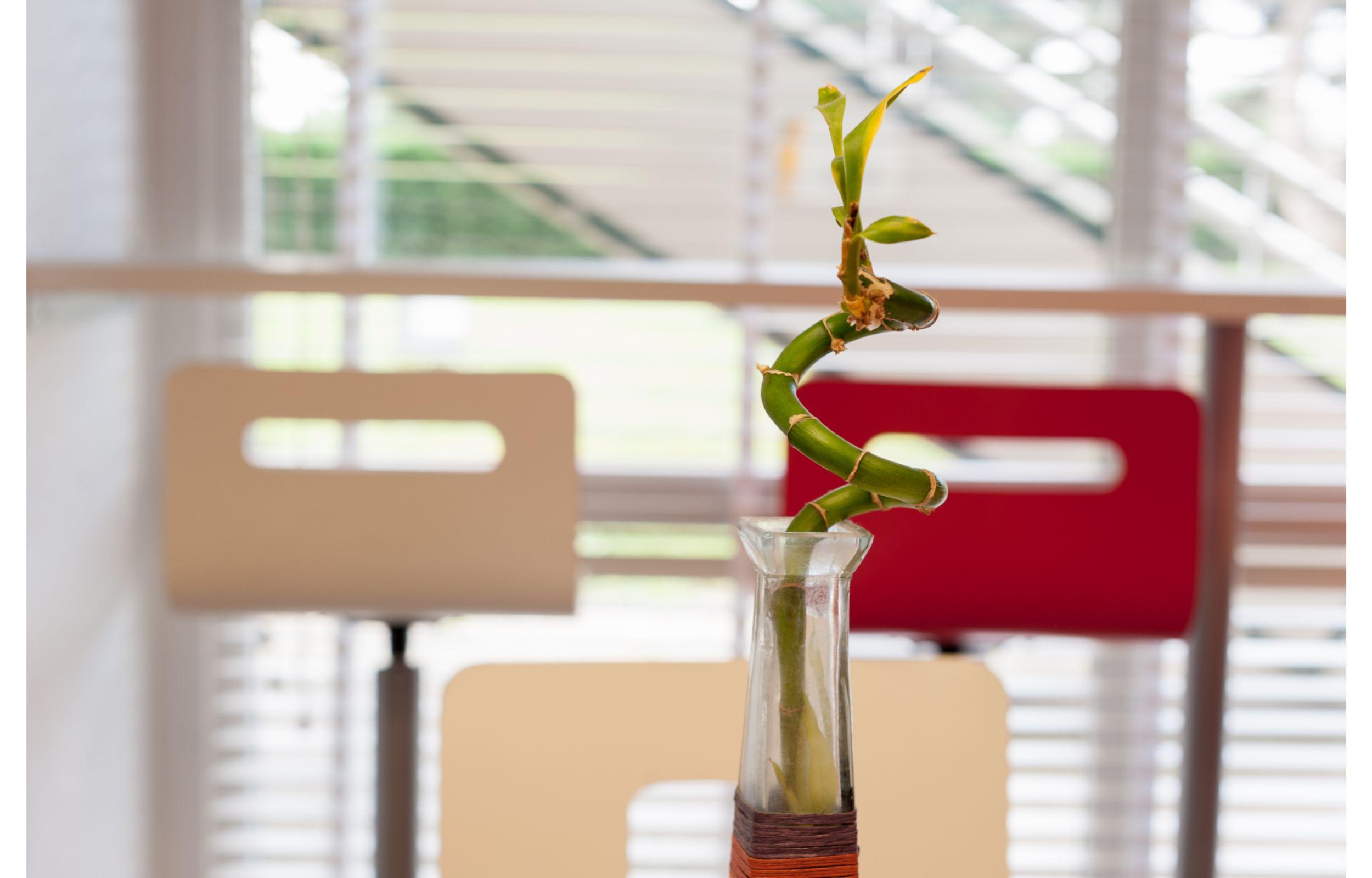 Hotel Premiere Classe Rouen Sud Oissel Saint-Étienne-du-Rouvray Екстериор снимка